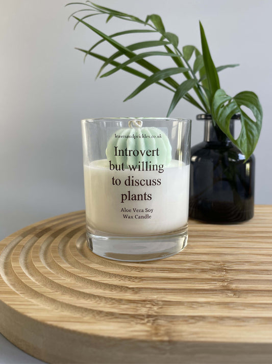 Cactus candle gift for plant lovers