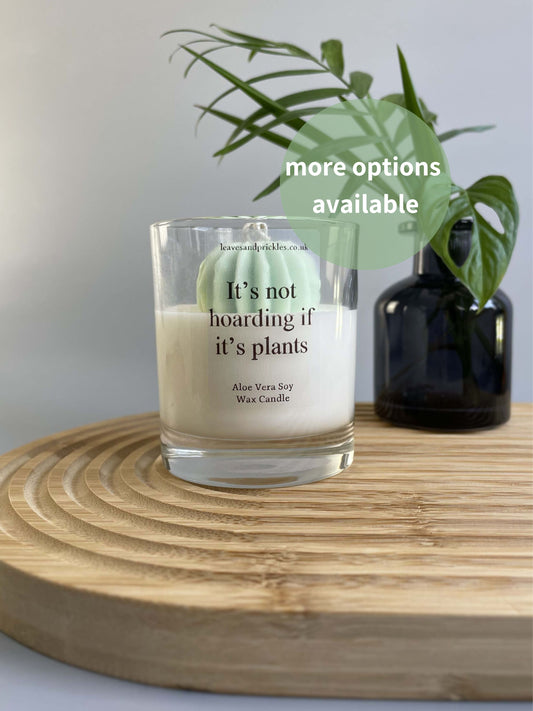 Cactus candle gift for plant lovers