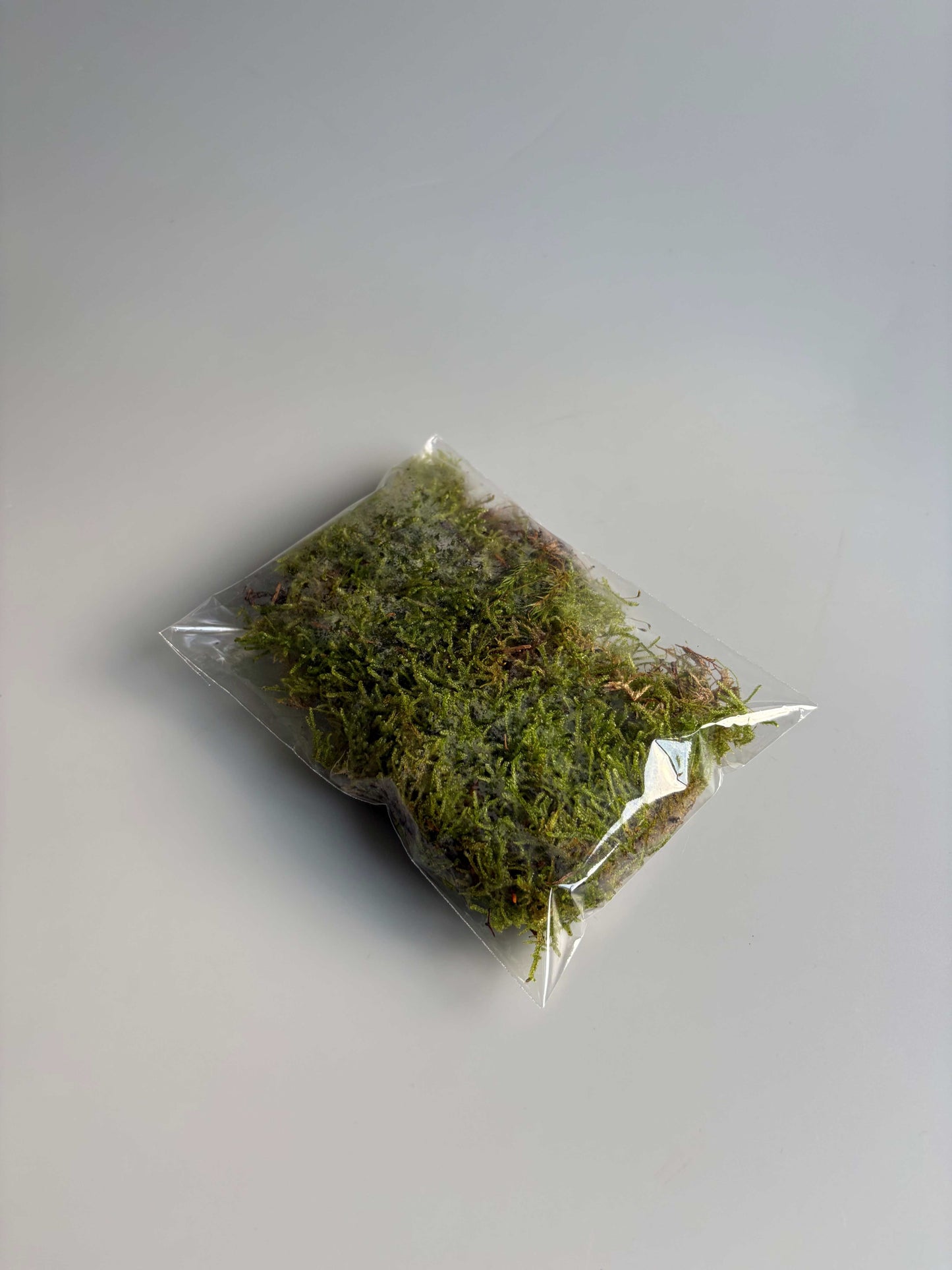 Carpet moss packaged