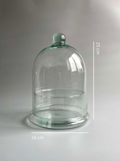 Glass Dome Terrarium Container -  H: 25cm D: 18cm