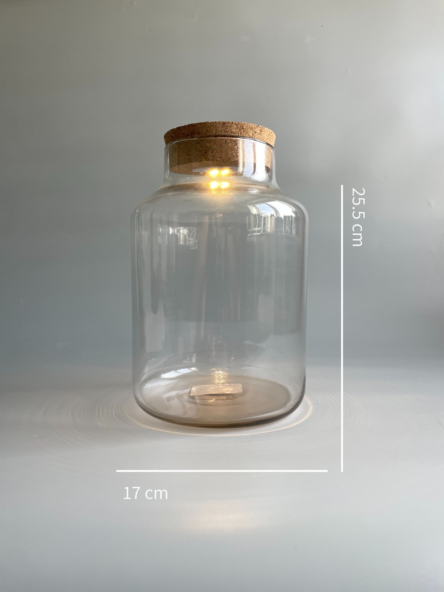Light-up Terrarium Container - H: 25.5cm D: 17cm