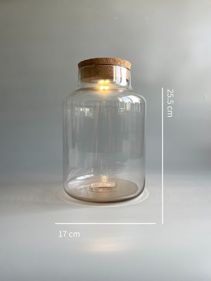Light-up Terrarium Container - H: 25.5cm D: 17cm