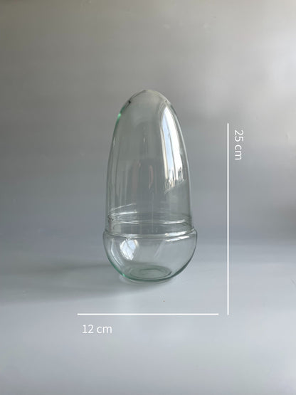 Glass Egg Terrarium Container - H: 25cm D: 12cm