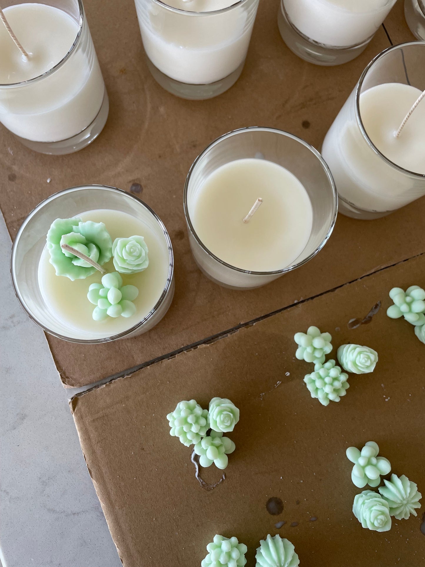 Handmade Terrarium Cactus Candle - Aloe Vera