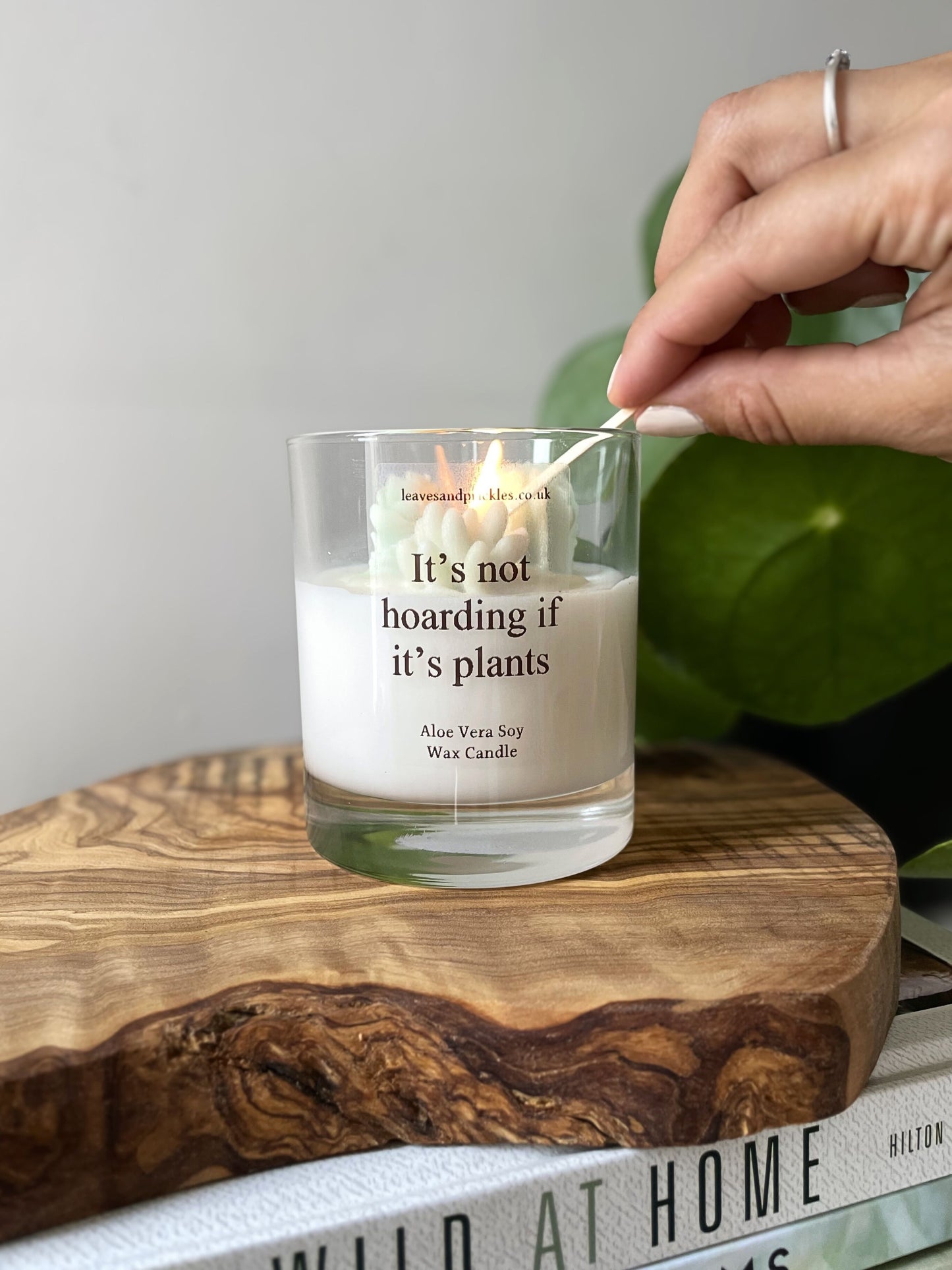 Gift for plant lovers cacti and succulents terrarium candle in glass jar 
