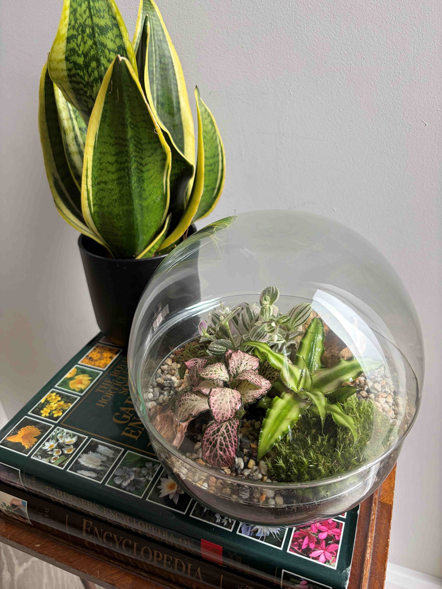 Glass Bowl Terrarium Workshop Poynton - Sunday 17th May | 6.30pm – 8pm