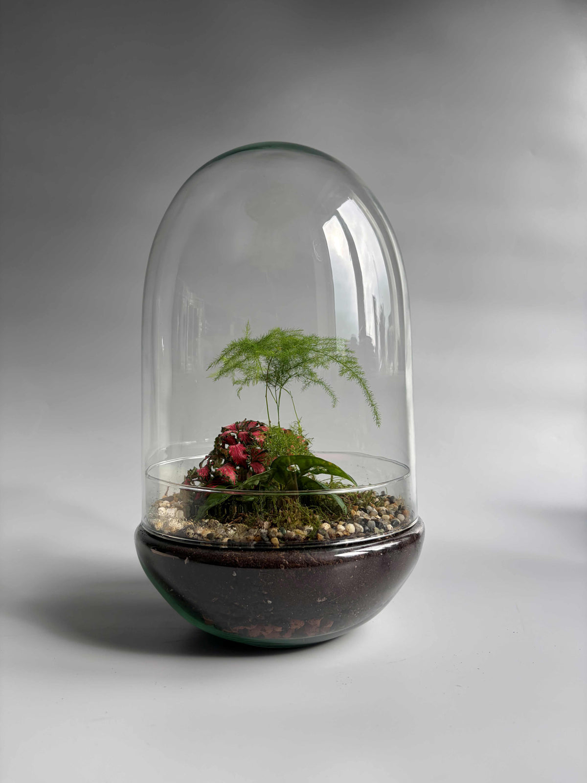 Glass Dome Terrarium Container -  H: 30cm D: 18cm