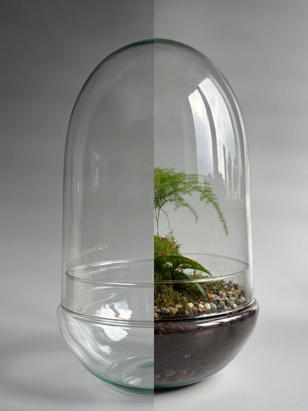 Glass Dome Terrarium Container -  H: 30cm D: 18cm