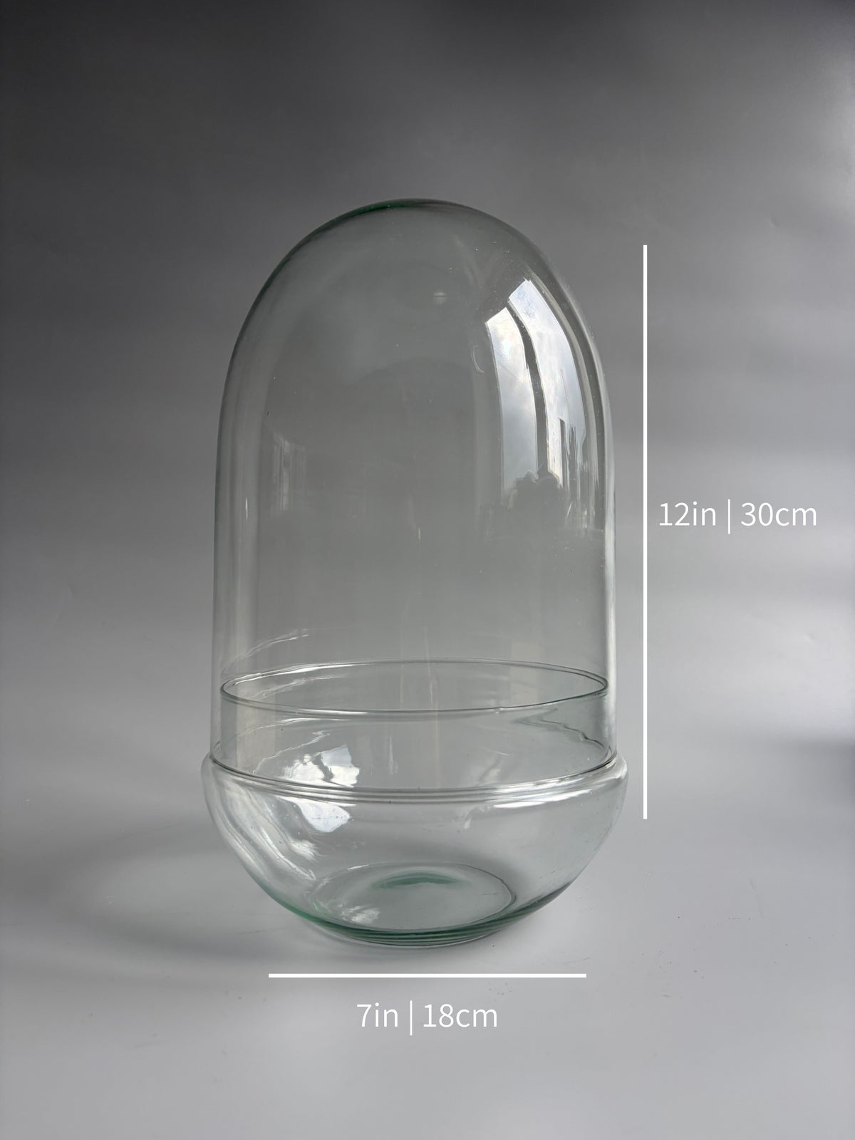 Glass Dome Terrarium Container -  H: 30cm D: 18cm