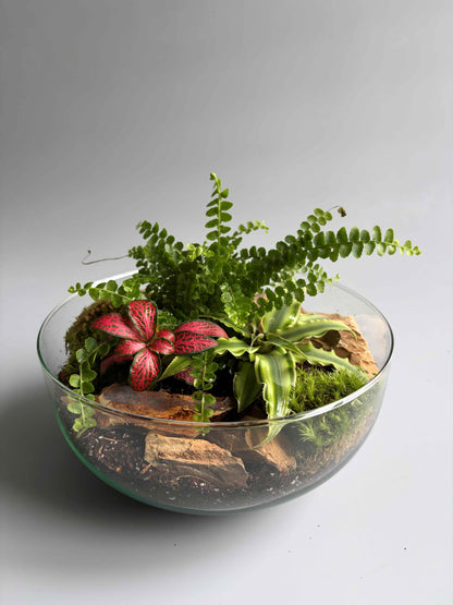 Globe glass terrarium with plants 