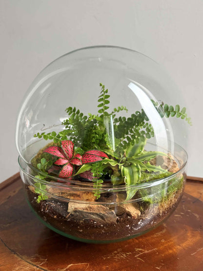 Glass terrarium with plants on a wooden surface