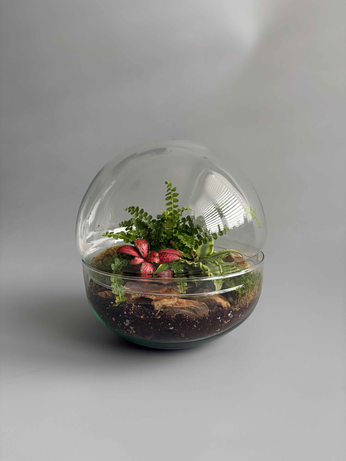 Glass Bowl Terrarium Container -  H: 19.5cm D: 18.5cm