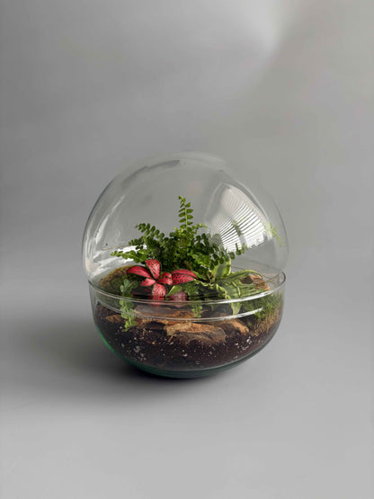 Glass Bowl Terrarium Container -  H: 19.5cm D: 18.5cm