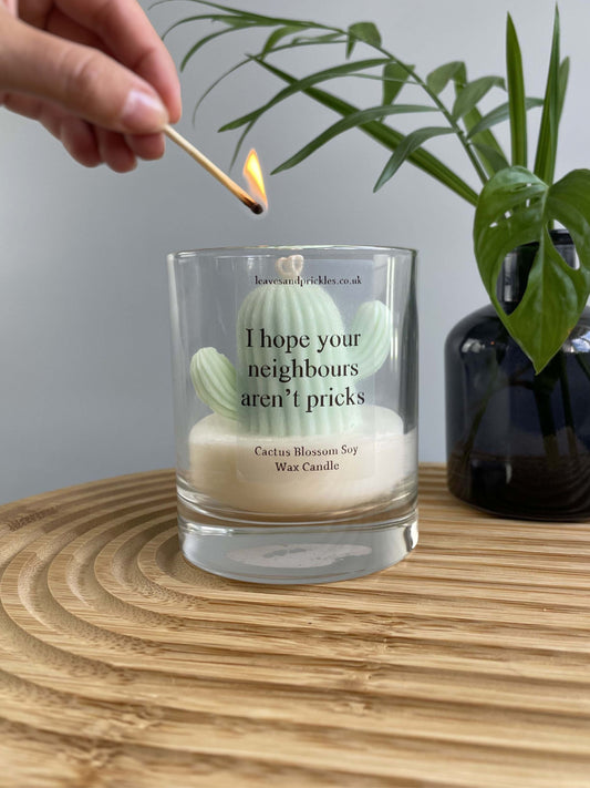 Housewarming cactus candle gift 