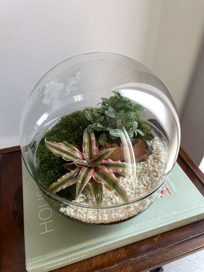 Glass Bowl Terrarium Kit - H: 19.5cm D: 18.5cm