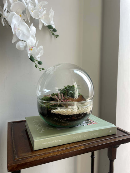 Glass Bowl Terrarium Kit - H: 19.5cm D: 18.5cm