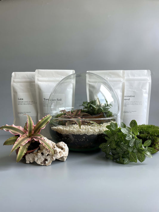 Glass Bowl Terrarium Kit - H: 19.5cm D: 18.5cm