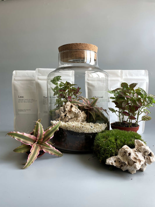 Light-up Terrarium Kit - H: 25.5cm D: 17cm