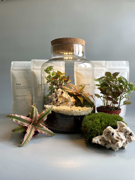Light-up Terrarium Kit - H: 25.5cm D: 17cm