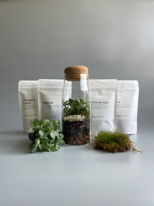 Bottle Terrarium Kit - H: 21cm D: 8.5cm