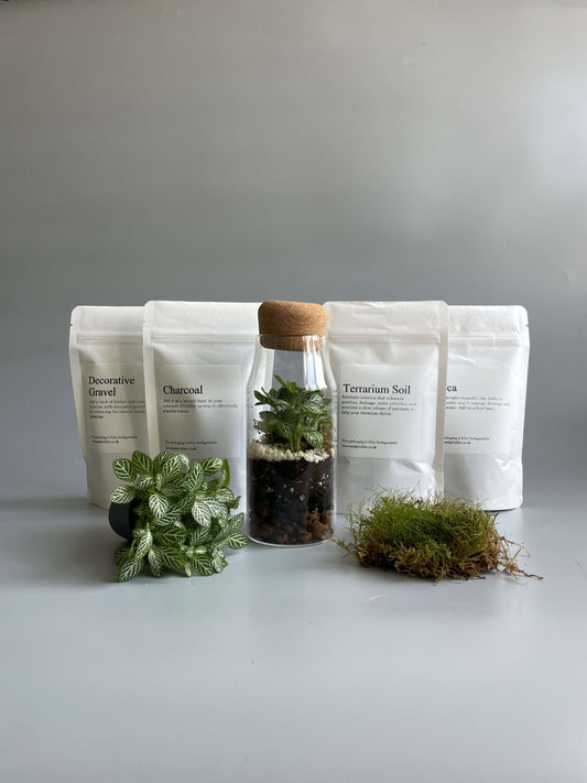 Bottle Terrarium Kit - H: 17cm D: 7cm