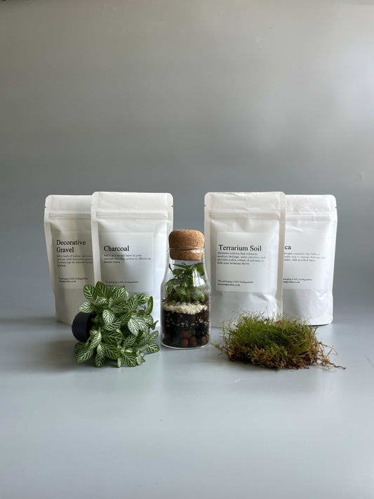 Bottle Terrarium Kit - H: 12.5cm D: 6cm
