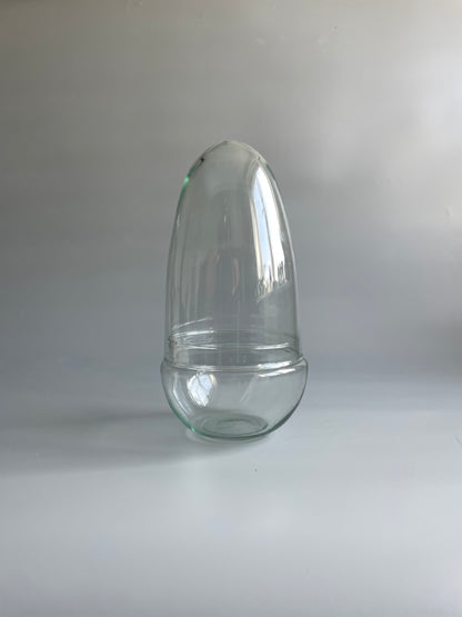 Glass Egg Terrarium Container - H: 25cm D: 12cm