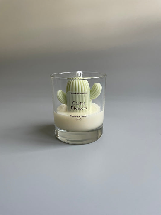 Cactus Candle in Clear Glass Jar