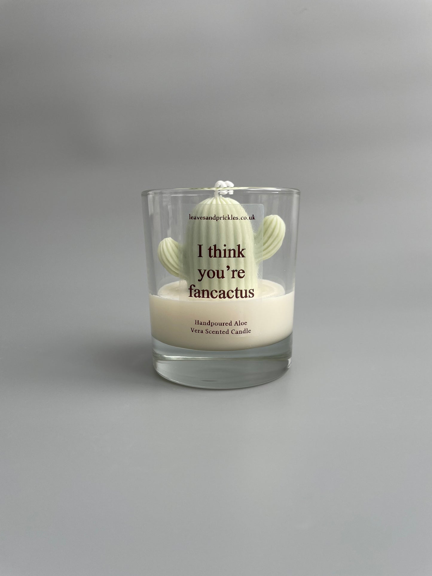 I think you're fancactus Cactus Candle in Clear Glass Jar
