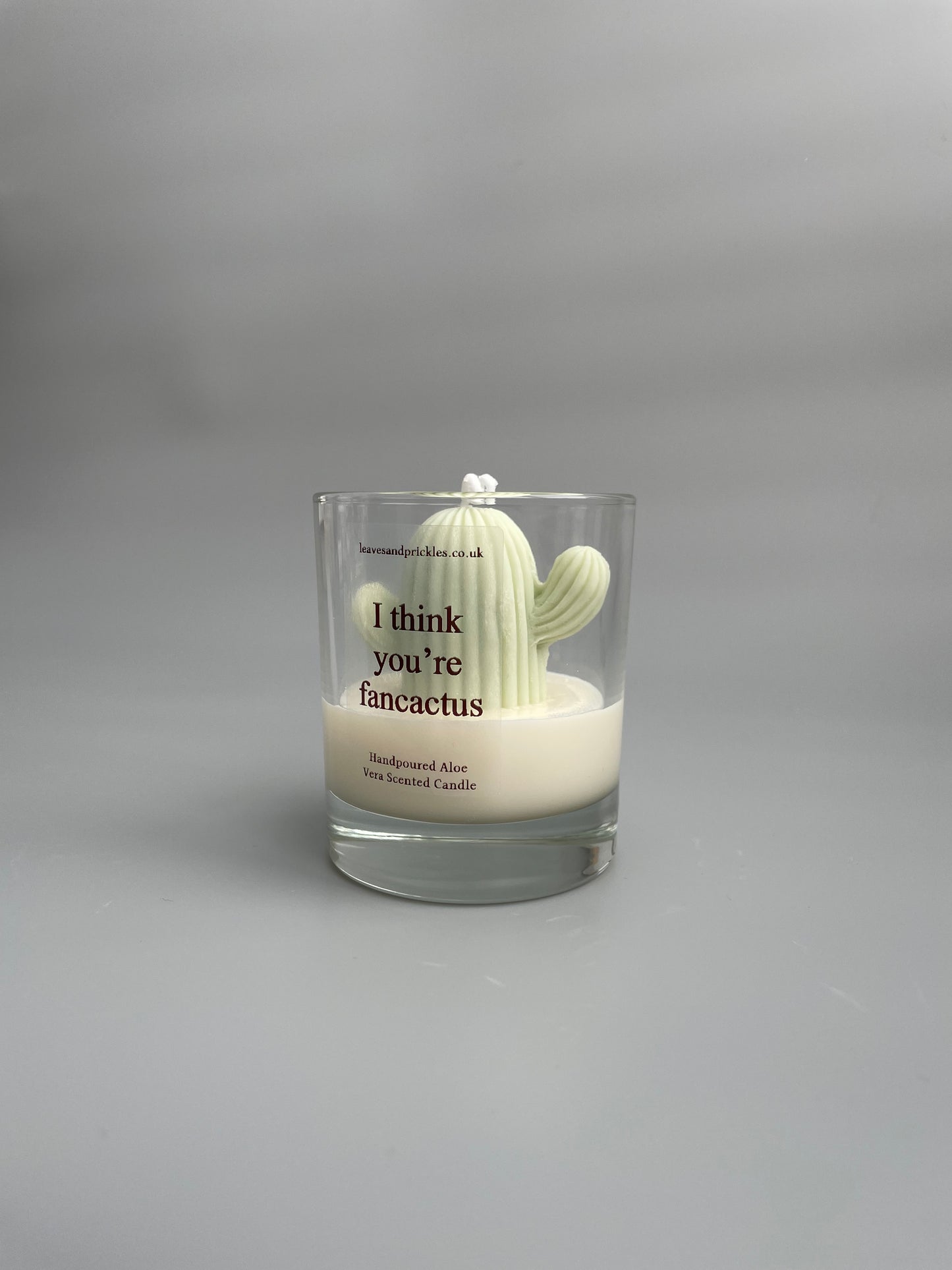 I think you're fancactus Cactus Candle in Clear Glass Jar