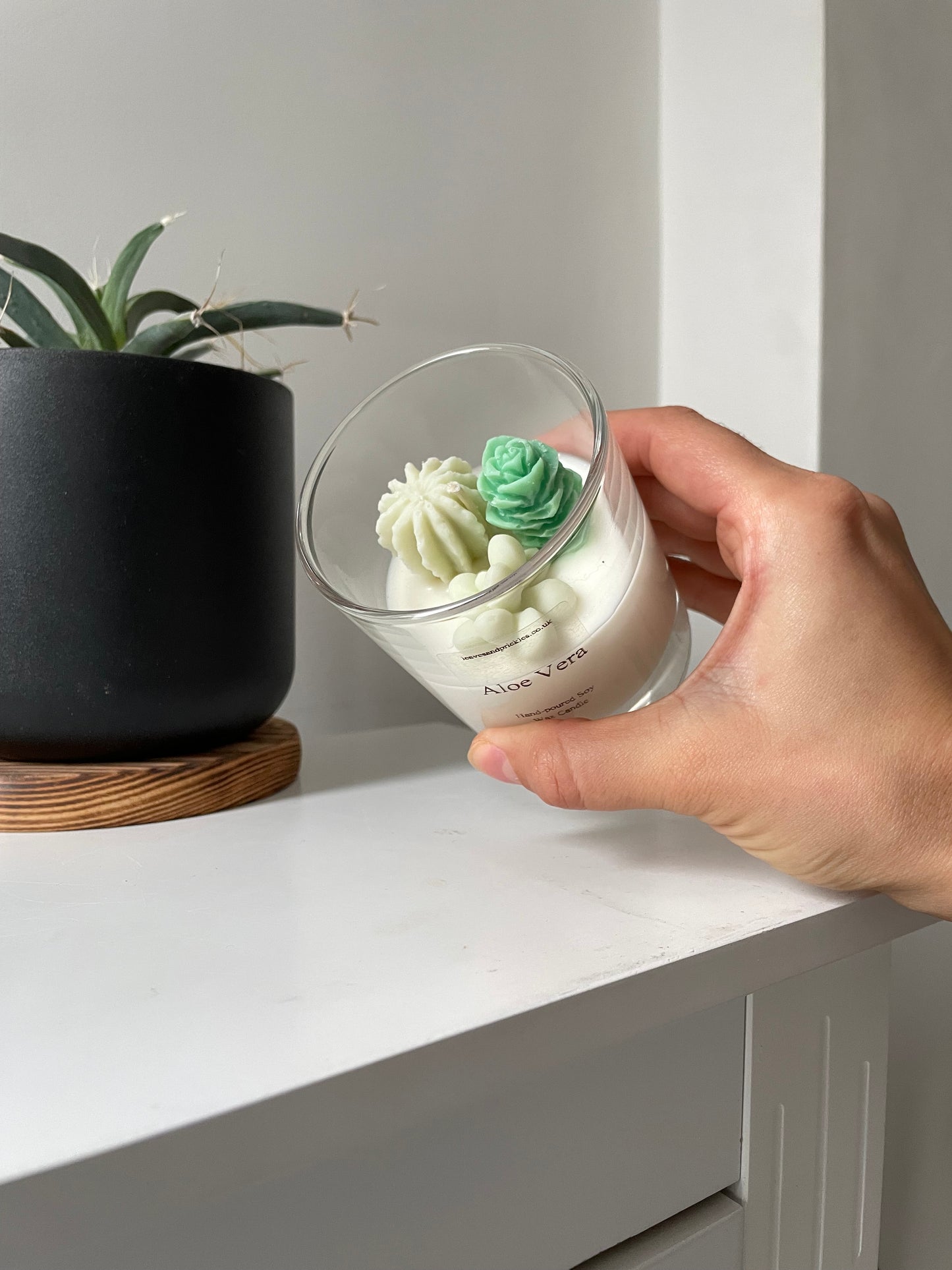 Handmade Small Terrarium Cactus Candle - Aloe Vera Scent