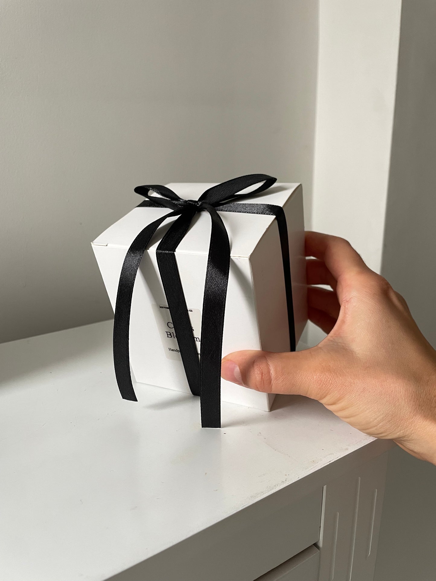 Handmade Small Terrarium Cactus Candle - Cactus Blossom Scent