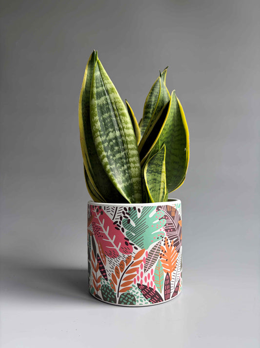 Colourful Botanical Print Indoor Ceramic Plant Pot – H: 10.5cm D: 12cm
