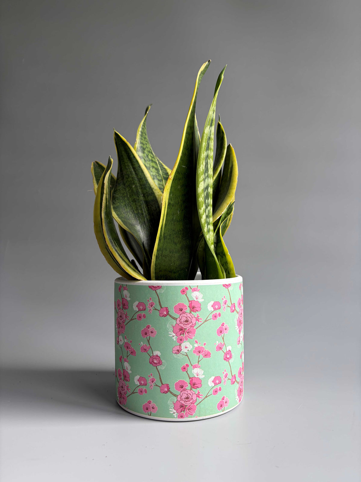 Cherry Blossom Print Indoor Ceramic Plant Pot – H: 10.5cm D: 12cm