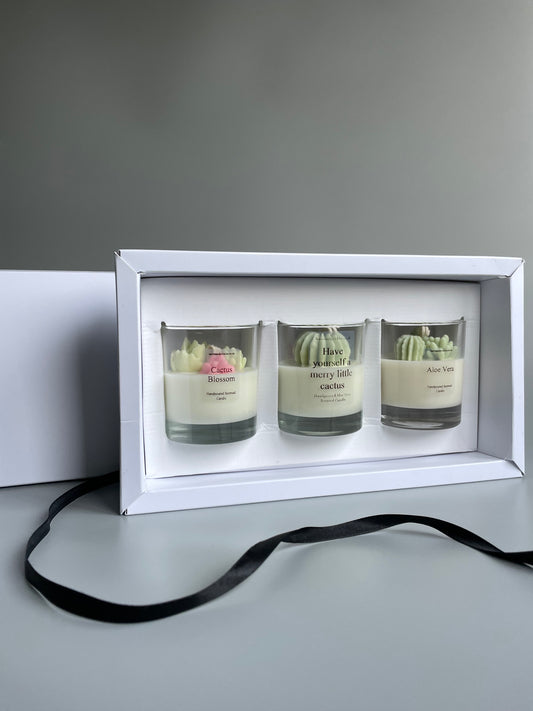 Christmas Terrarium Candles Gift Set