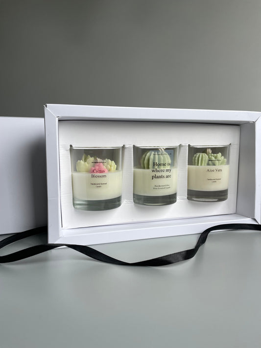 Plant Lover Terrarium Candles Gift Set