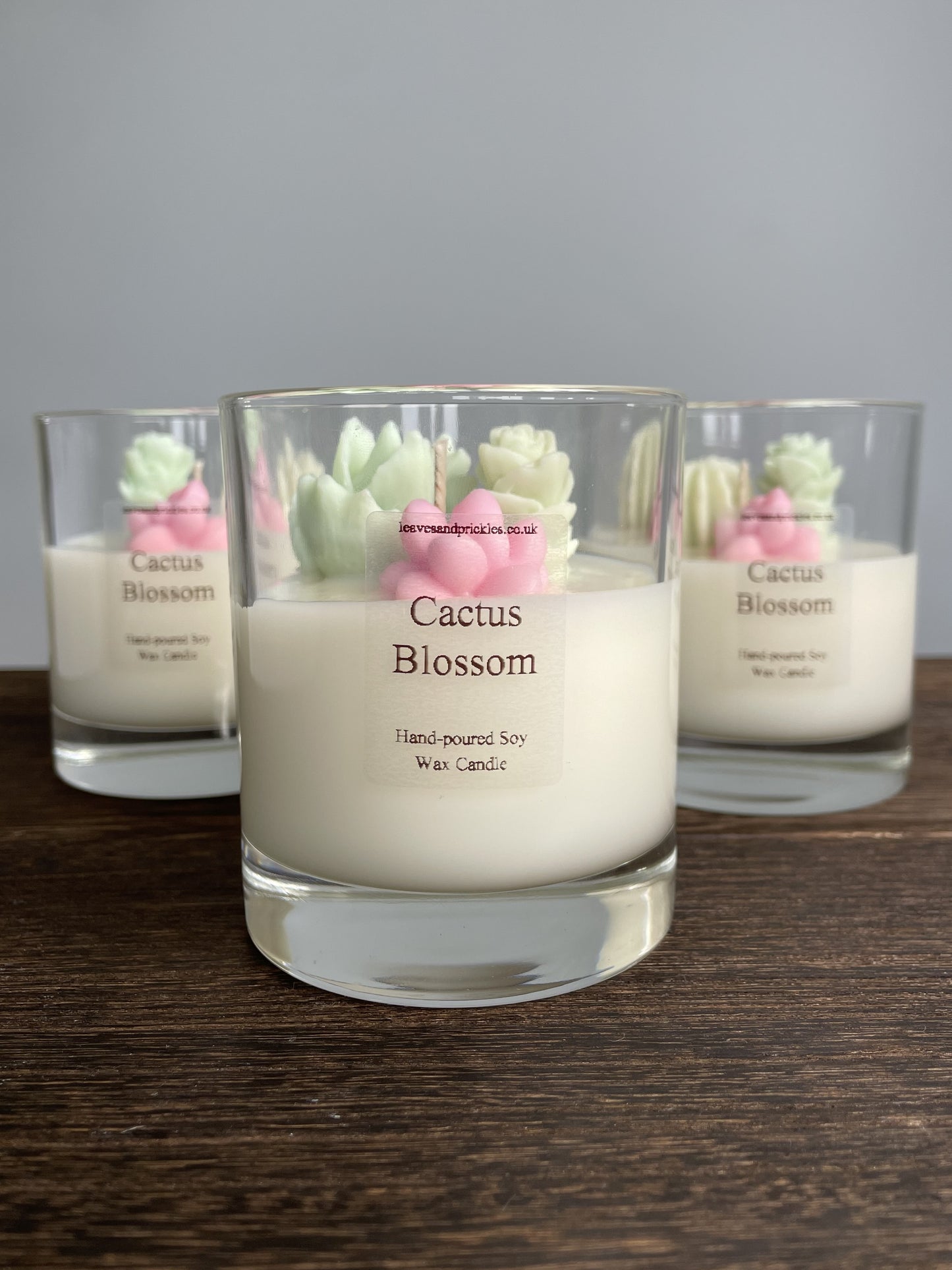 Handmade Terrarium Cactus Candle - Cactus Blossom Scent