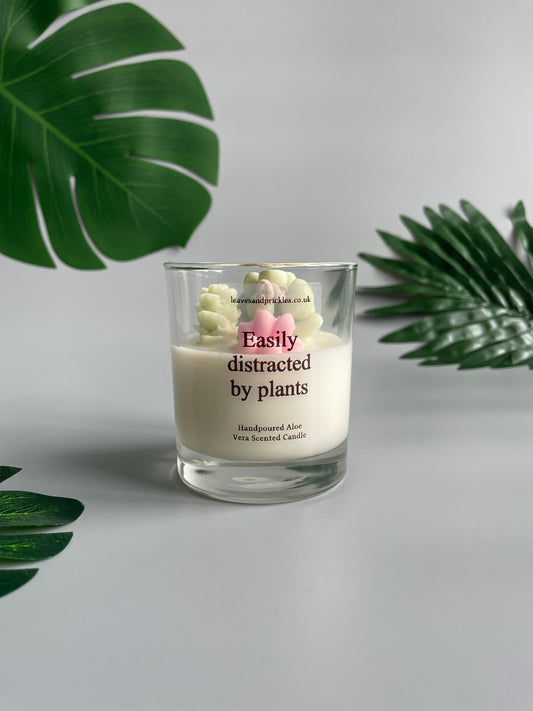 Easily distracted by plants Cacti and Succulents Terrarium Candle in Clear Glass Jar (pink)