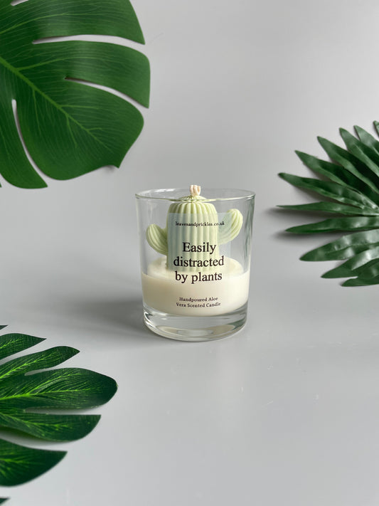 Easily distracted by plants Cactus Candle in Clear Glass Jar