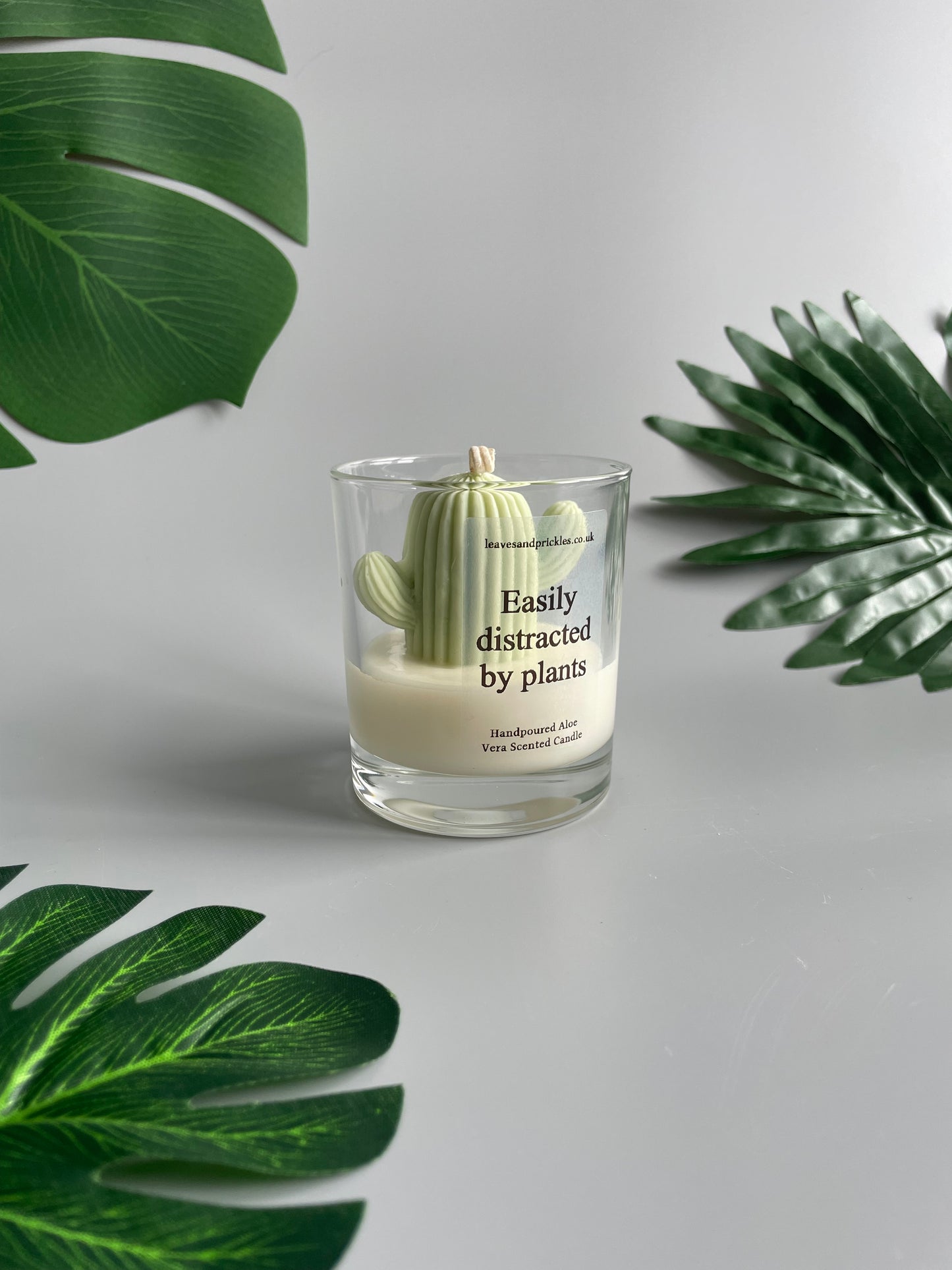 Easily distracted by plants Cactus Candle in Clear Glass Jar