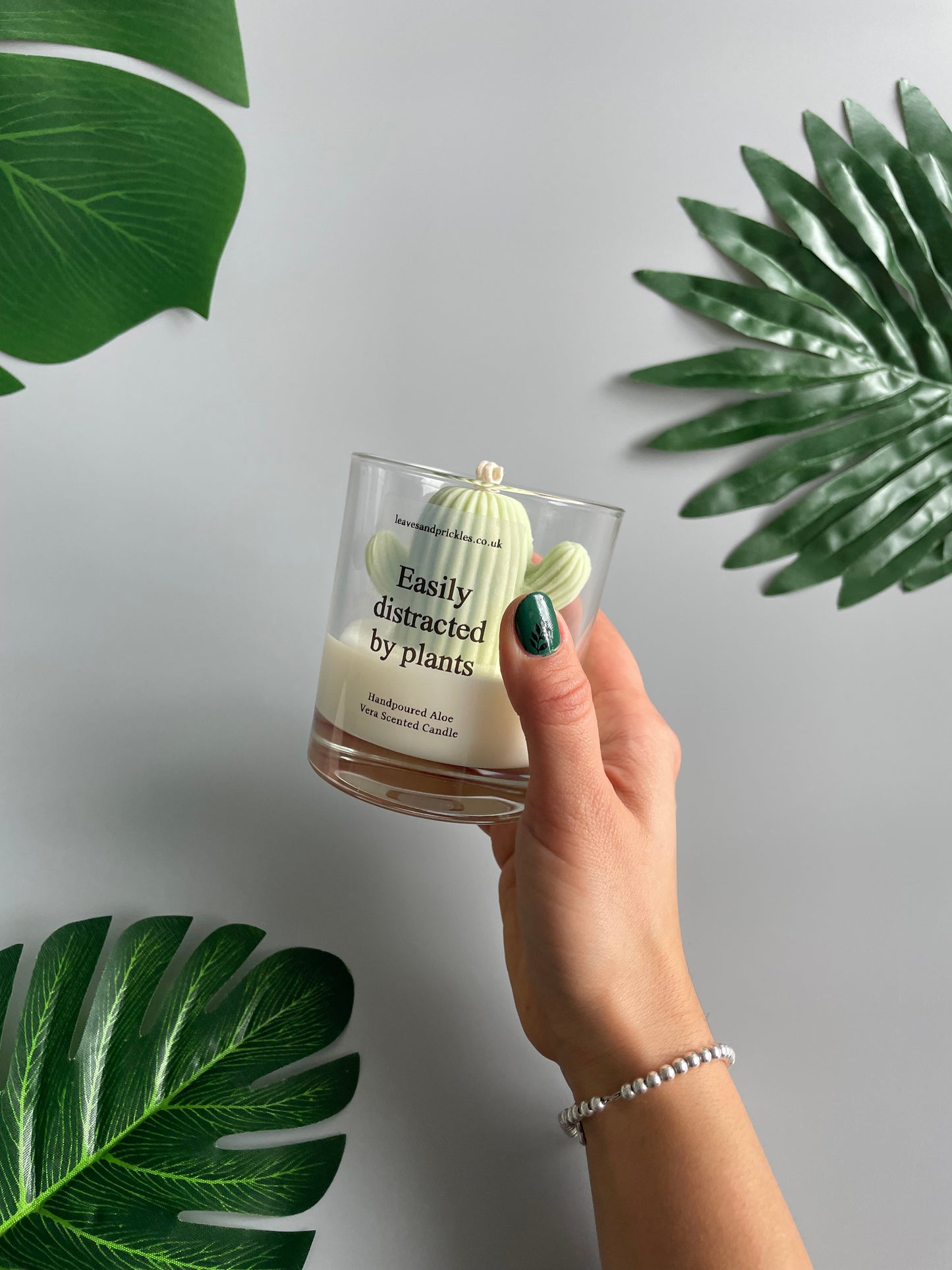 Easily distracted by plants Cactus Candle in Clear Glass Jar