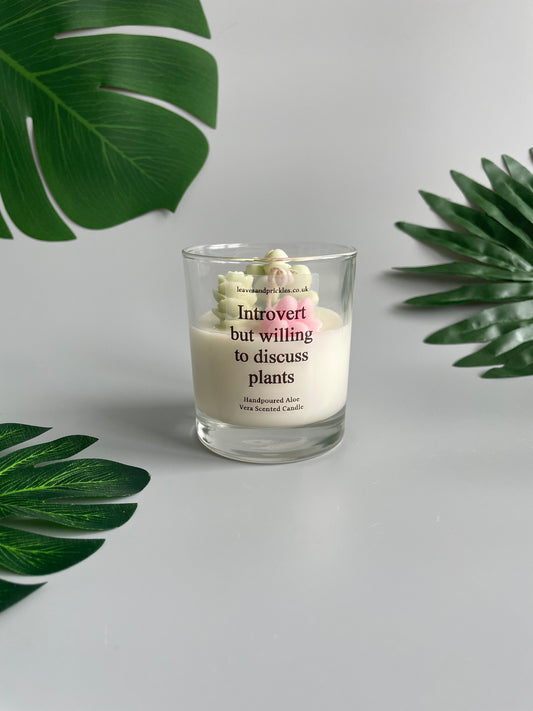 Introvert but willing to discuss plants Cacti and Succulents Terrarium Candle in Clear Glass Jar (pink)