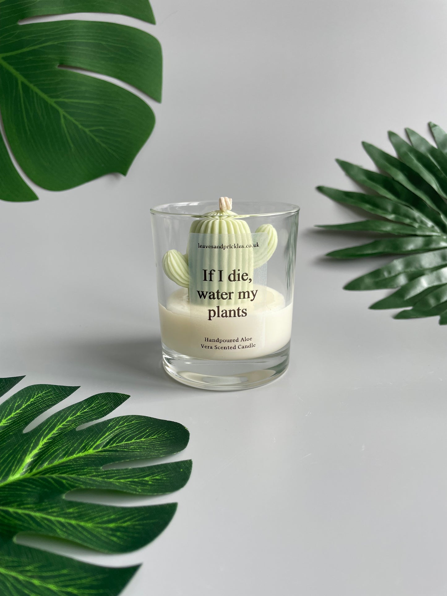 If I die, water my plants Cactus Candle in Clear Glass Jar