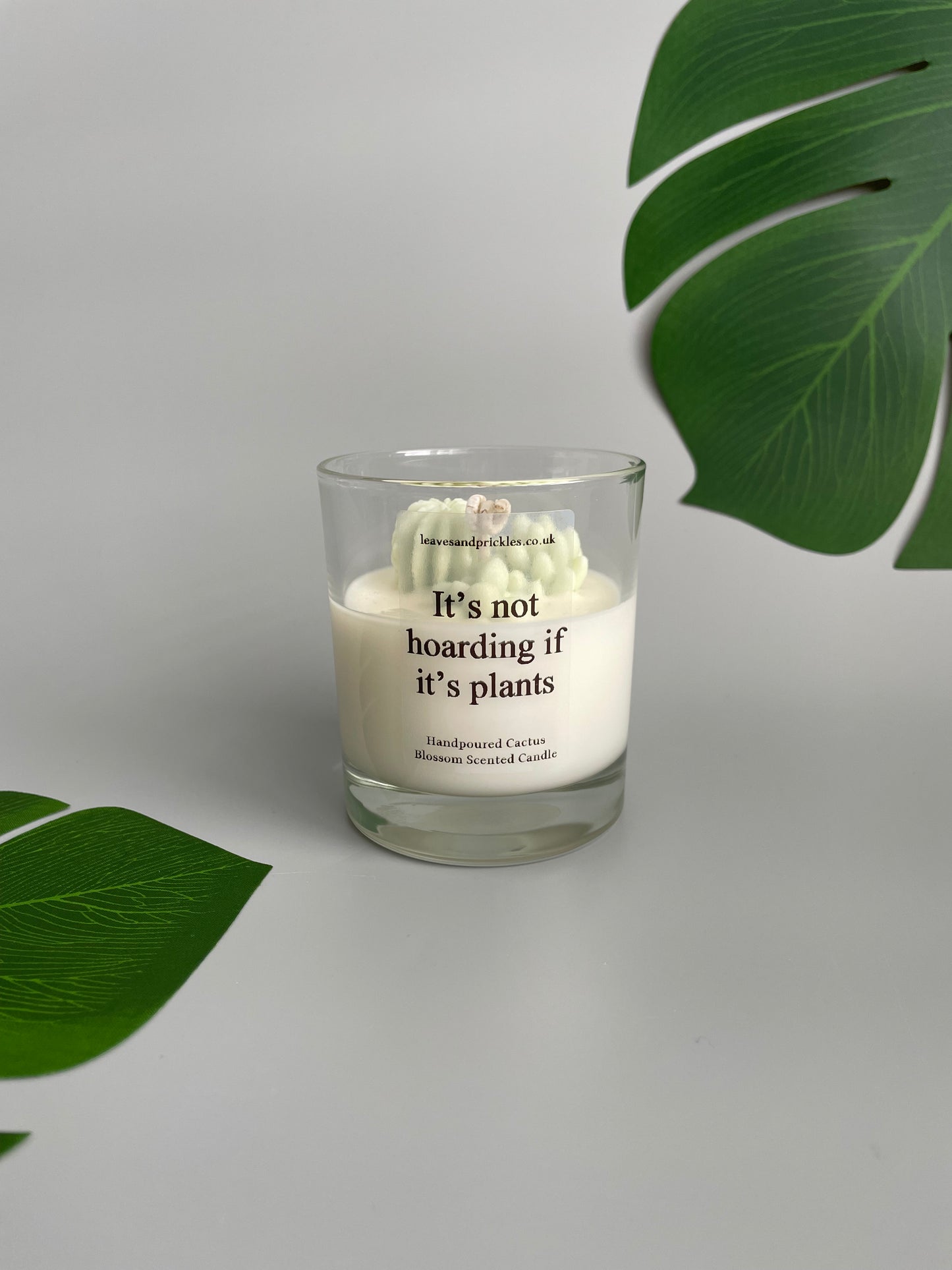 It's not hoarding if it's plants Cacti and Succulents Terrarium Candle in Clear Glass Jar