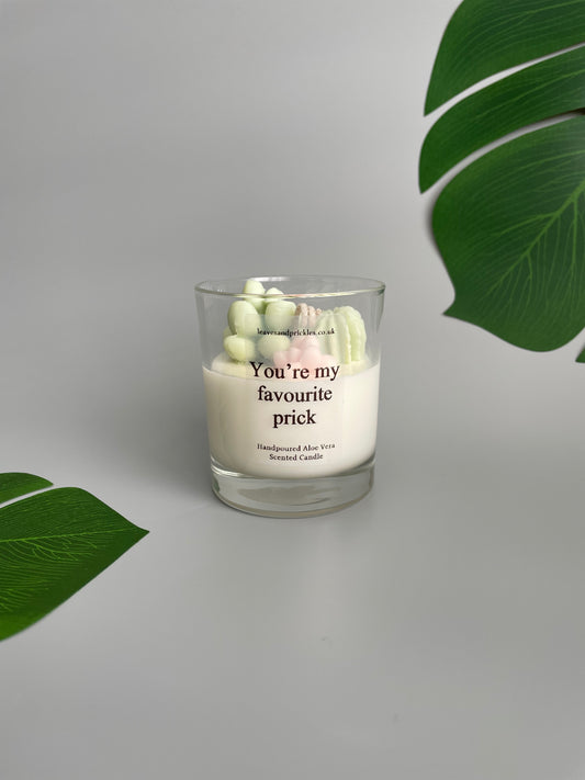 You're my favourite prick Cacti and Succulents Terrarium Candle in Clear Glass Jar (pink)