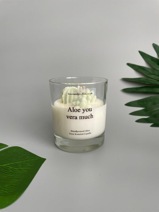 Aloe you vera much Cacti and Succulents Terrarium Candle in Clear Glass Jar