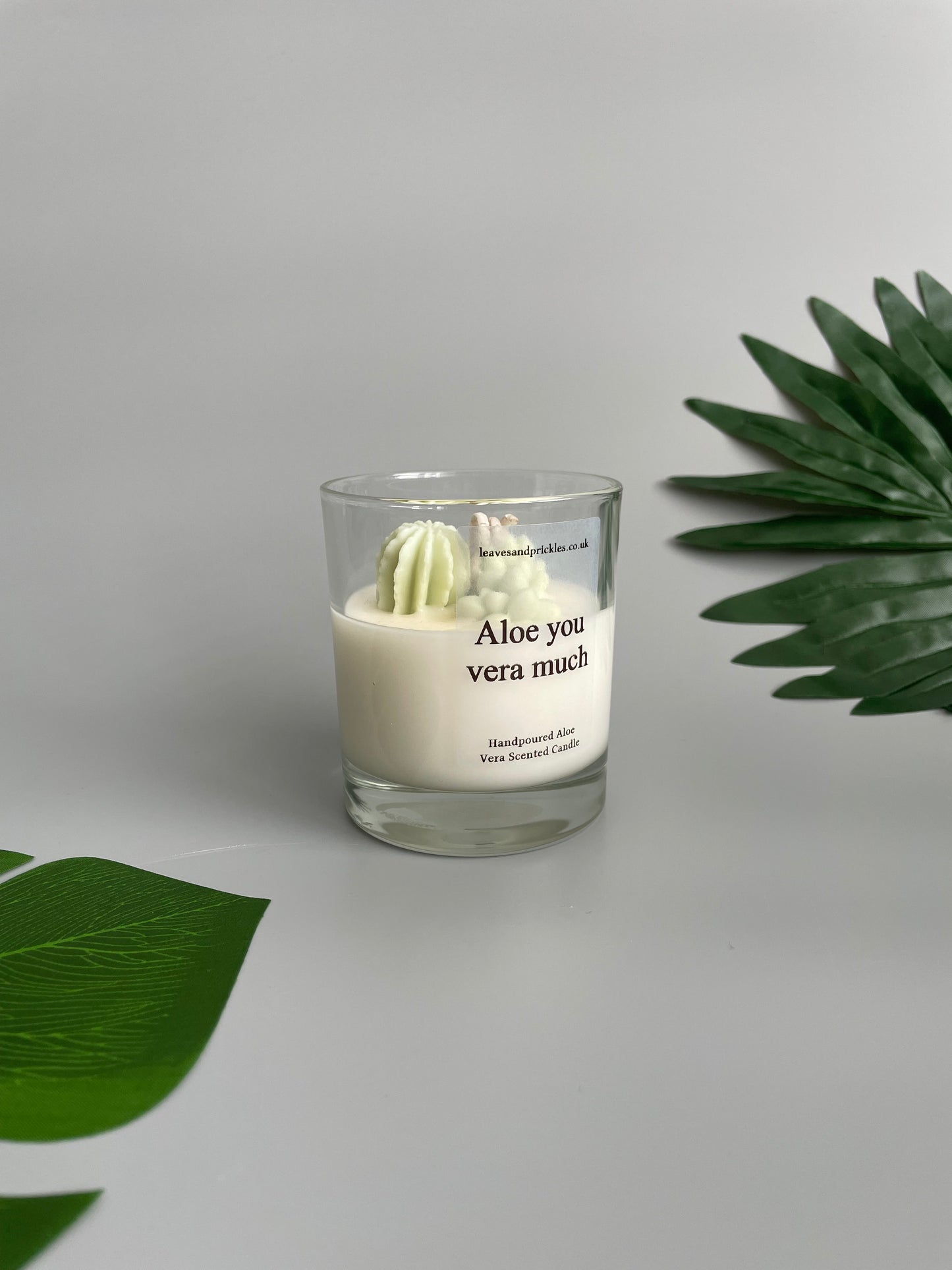 Aloe you vera much Cacti and Succulents Terrarium Candle in Clear Glass Jar