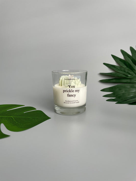 You prickle my fancy Cacti and Succulents Terrarium Candle in Clear Glass Jar