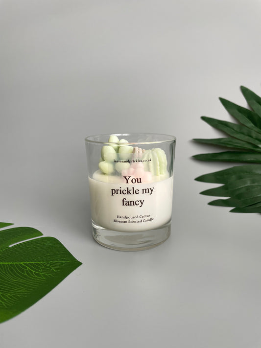 You prickle my fancy Cacti and Succulents Terrarium Candle in Clear Glass Jar (pink)