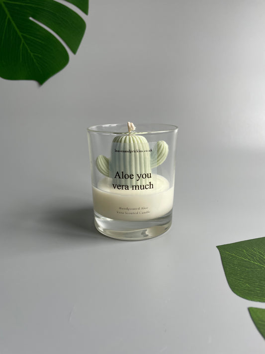 Aloe you vera much Cactus Candle in Clear Glass Jar